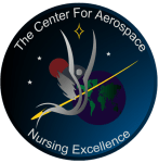 Aerospace Nursing Excellence Logo Patch 1 Idea II